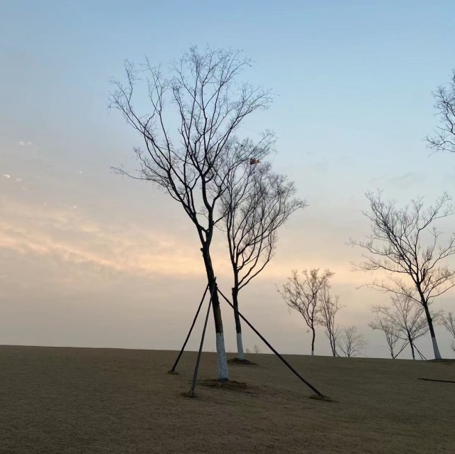 1378621 ✨ 万众瞩目。