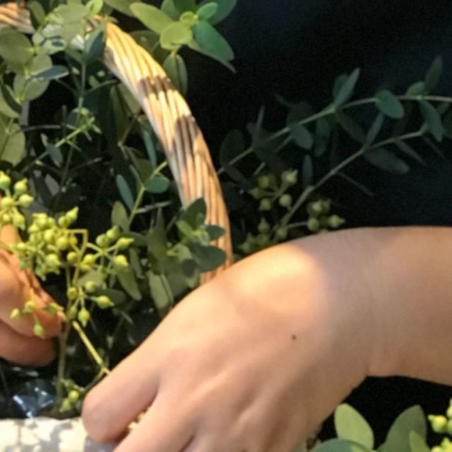 1379513 将门之后