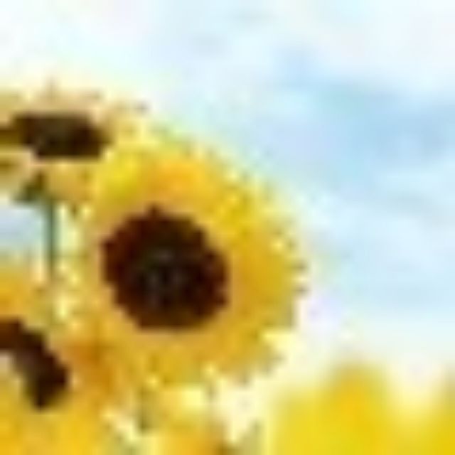 1379690 Alon
