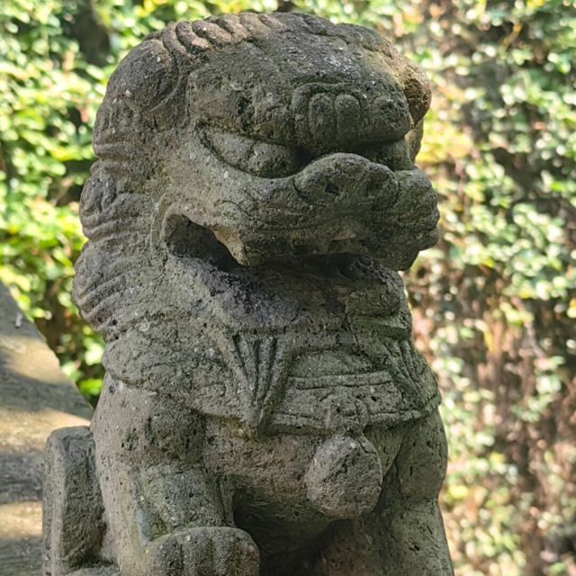 1379732 傻蛋中的精品