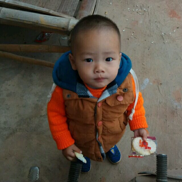 1379736 德艺扬扬