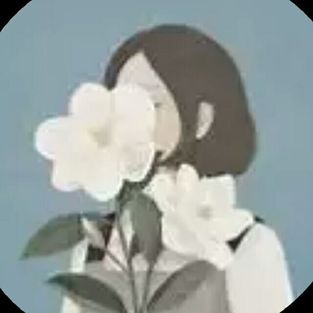 1381174 轻舞飞扬