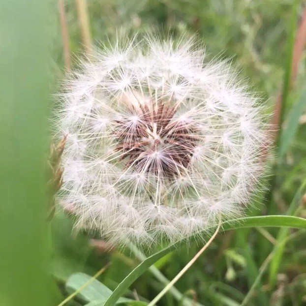 1381471 西江月