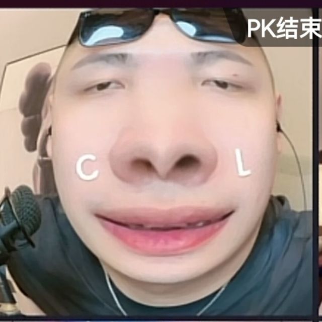 1381499 大良