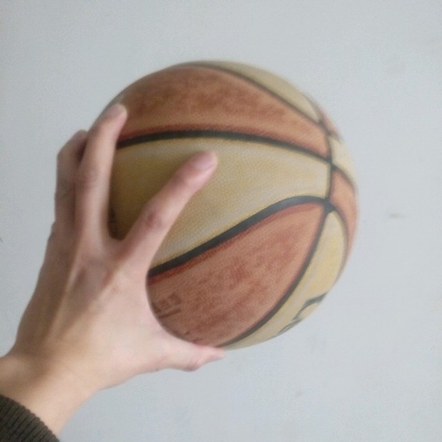 1381924 戈草