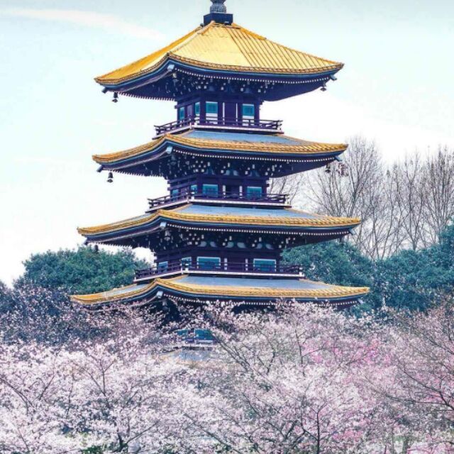 1382091 寡