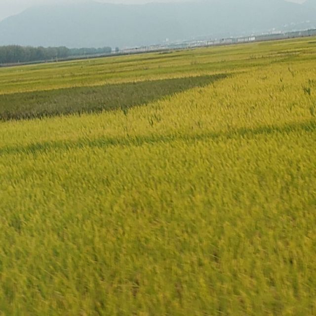 1382203 钱钱爹