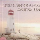 1382383 心入清风，随风飘散