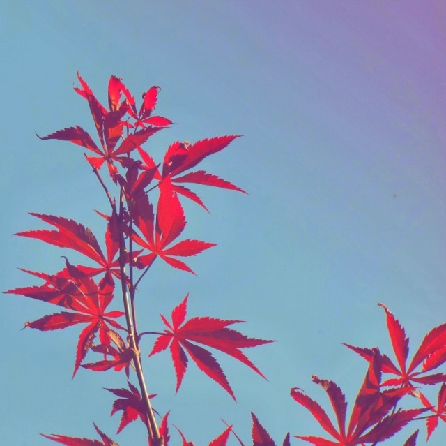 1382423 哈哈