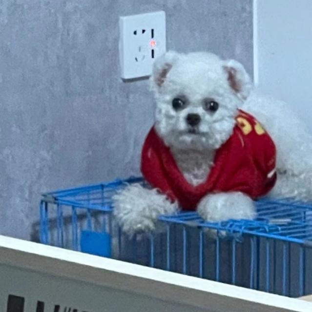 1382580 .暖暖..