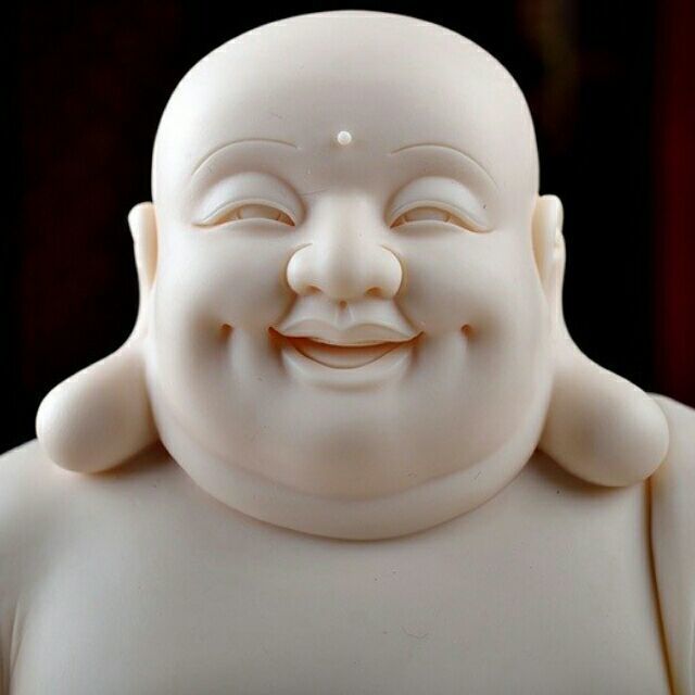 1382768 奔波儿灞