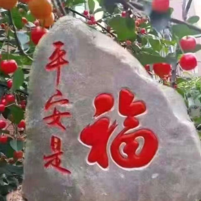 138318 明月