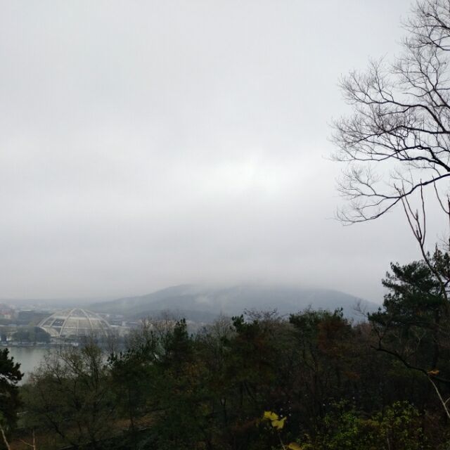 1384491 小龙