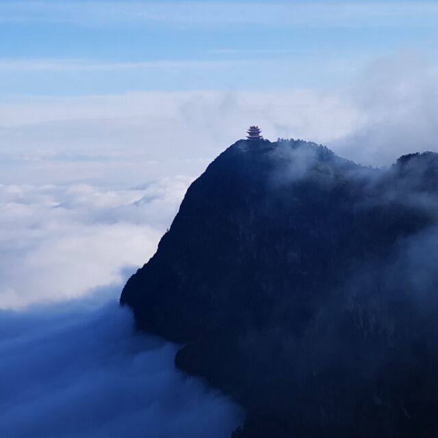 138485 小马
