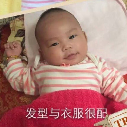 1384884 洁