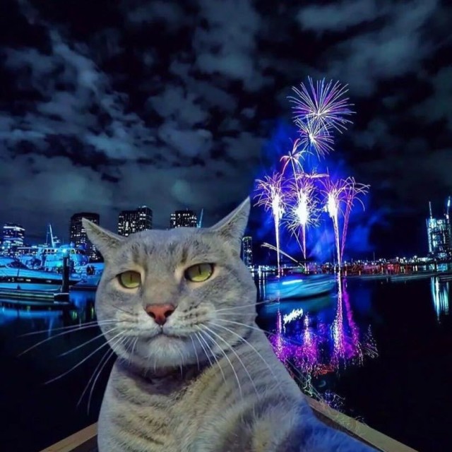 1385232 钱势金生