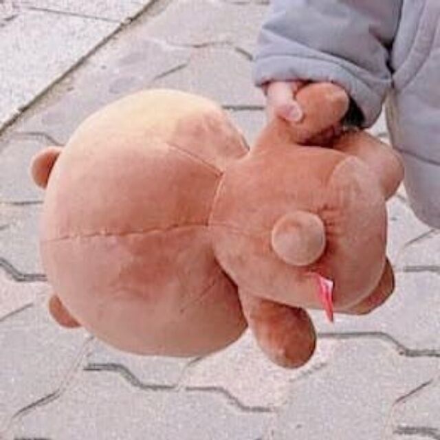 1385269 空空如也