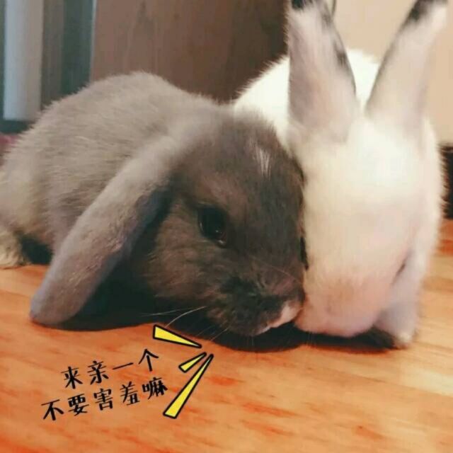 138693 后来