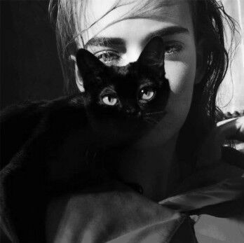 1387999 Russian blue.