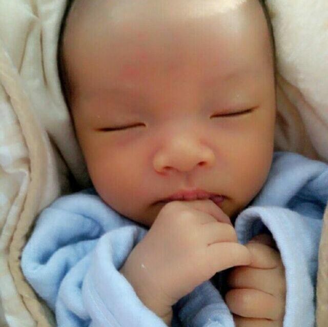 1388021 南部之星