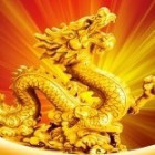 1388609 游龙