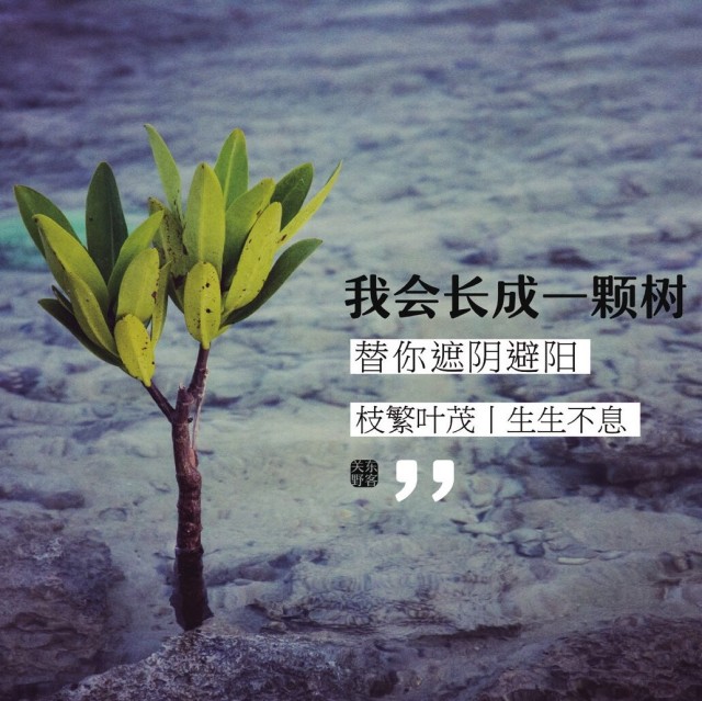 1388803 氵每 鱼 羊