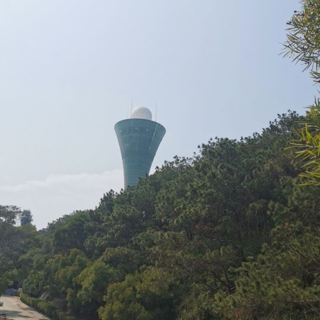 1389419 颜忠阳