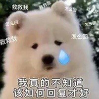 138950 灰灰菜