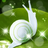 1389597 bird