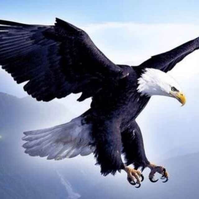 1390011 陈择