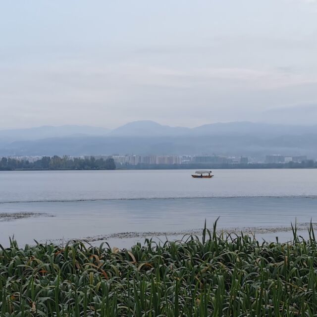 1390123 其实我爱你吗