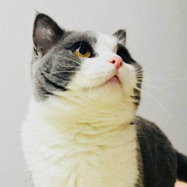 139015 天外飞仙