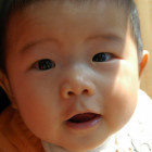 1390252 anina