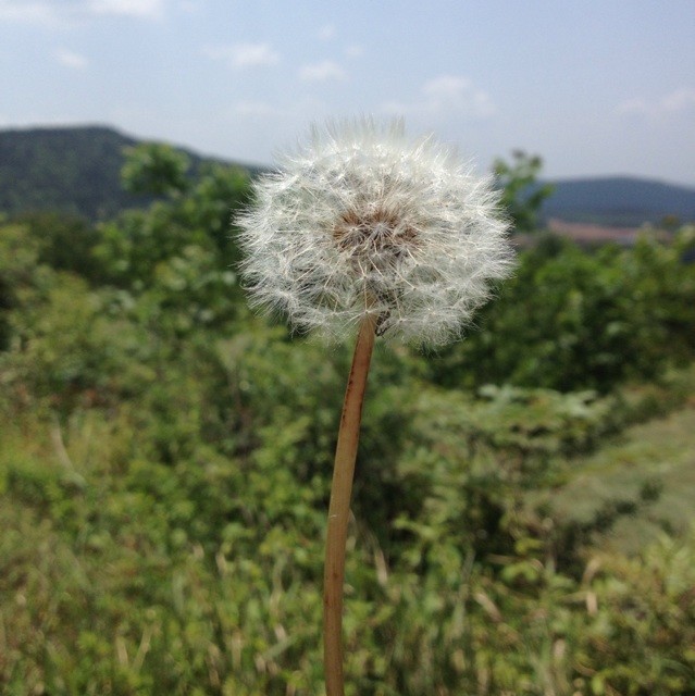 1390290 三哥