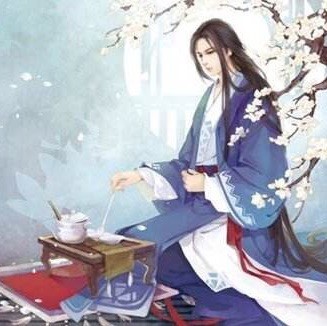 1390862 紫云