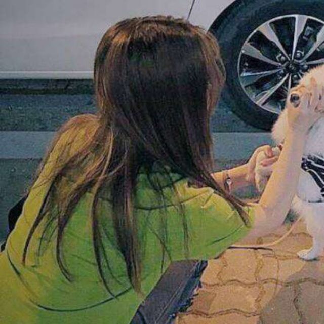 1391453 囧兔子妈咪囧