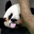139269 彬彬