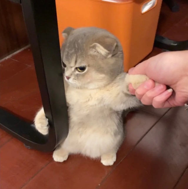 1393427 沈阳小伙