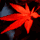 139660 Dola