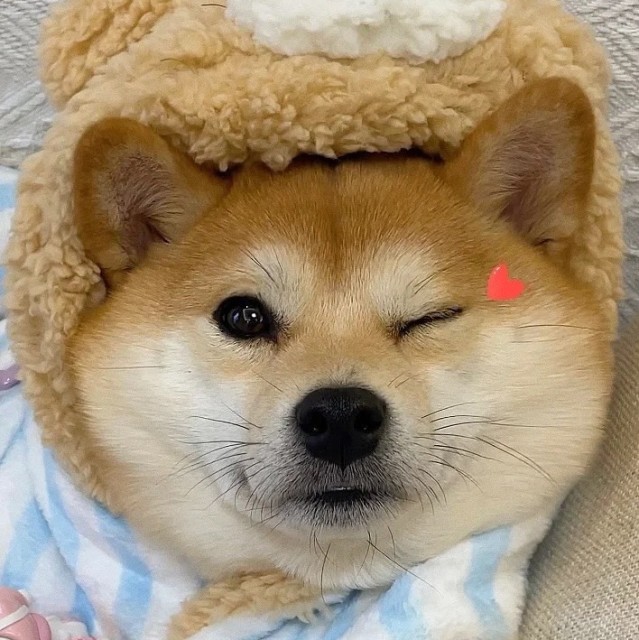 140250  .寵愛自己