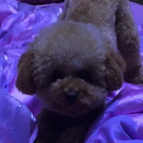 140276 睡醒等困