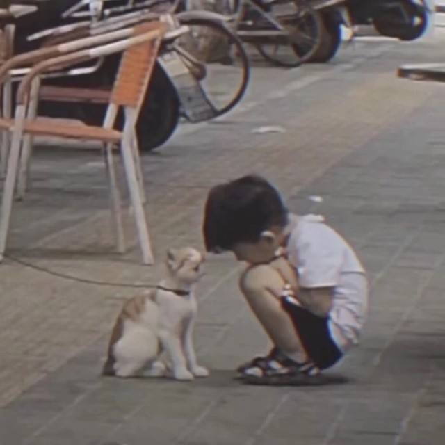 1403209962 黄哈哈