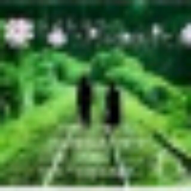 141399 无心向东(莞)