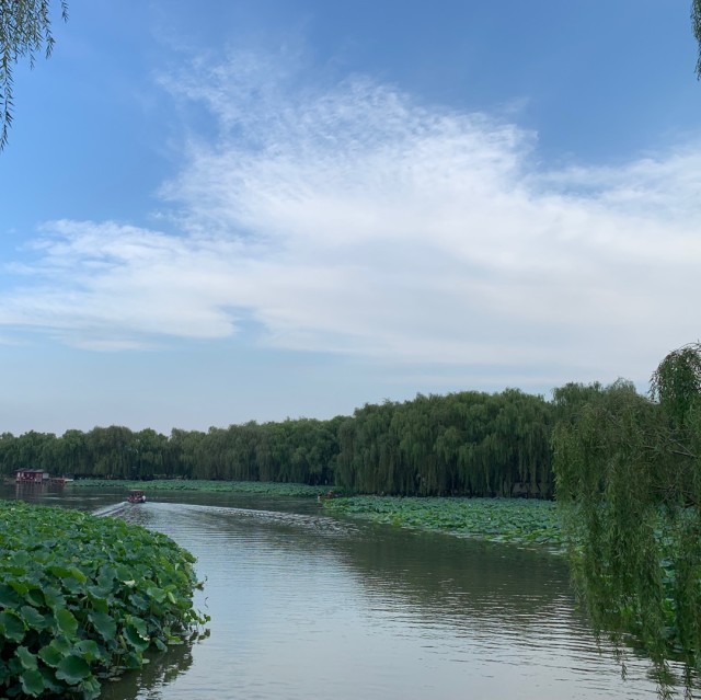 141447 __流泉