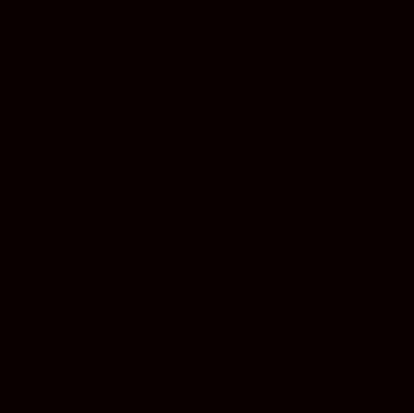 142411 小肥鹅