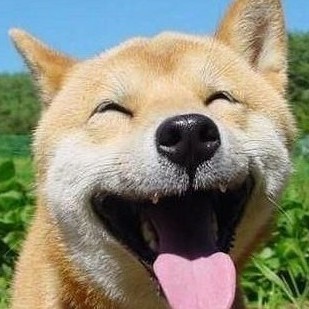 142744 狼