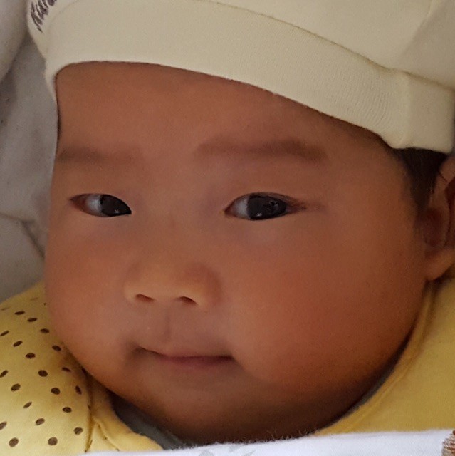 142748 暴走の西瓜