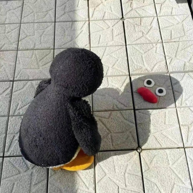 143529 生菜