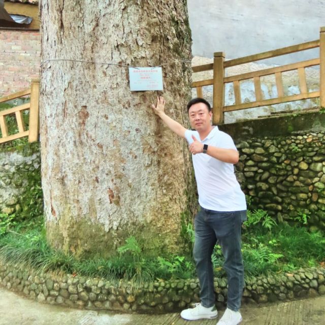 143634 四国化成 ● 进口硅藻泥
