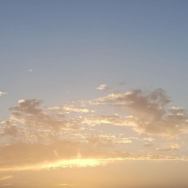 143639 玫瑰姐夫。